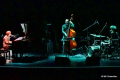 Luca Sestak Trio