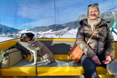 Winterwandern auf dem Neunerköpfle