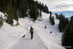Winterwandern auf dem Neunerköpfle