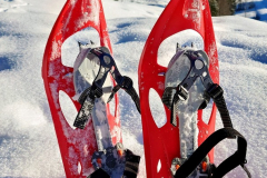 Schneeschuhwanderung