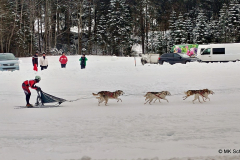 Schlittenhunderennen in Unterjoch 