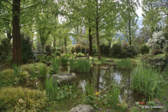 Locarno: Kamelienpark