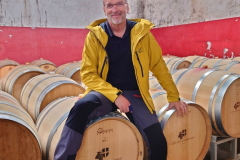 Mendrisiotto: Cantina Sociale Mendrisio