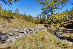 Zurück zur Alpe Salei