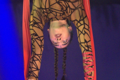 Cassandra May Raineri Aerial Silk