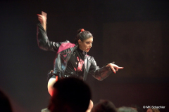 Fanny di Favola Host & Performance