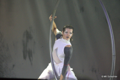 Lisa Chudalla Cyr Wheel