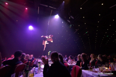 Romy Haupt Stage Pole & Flying Pole