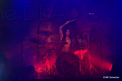 Brian Tichy