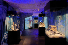 The Fans Strike Back Exhibition – Aufgrund des riesigen Erfolgs jetzt in Stuttgart