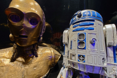 The Fans Strike Back Exhibition – Aufgrund des riesigen Erfolgs jetzt in Stuttgart