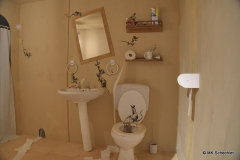 Bathroom Installation (2020)