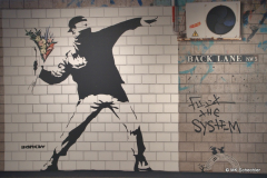 Flower Thrower (2005)