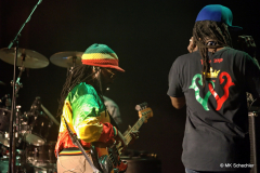 Aston Barrett Jr., Bass – Band Leader | Owen “Dreadie” Reid, Bass