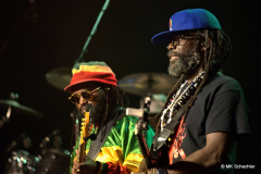 Aston Barrett Jr., Bass – Band Leader | Owen “Dreadie” Reid, Bass