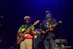 Aston Barrett Jr., Bass – Band Leader | Owen “Dreadie” Reid, Bass