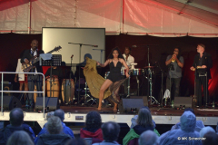 TONY MARTINEZ & THE CUBAN POWER