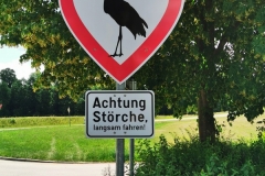 Wir lieben Störche
