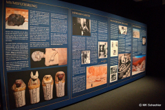 Tutanchamun - Das immersive Ausstellungserlebnis in Stuttgart