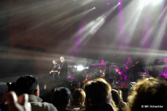 L’Ultima Notte rosa – The Final Tour