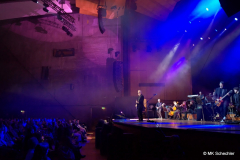 L’Ultima Notte rosa – The Final Tour