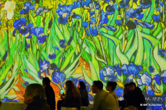 Van Gogh – The Immersive Experience!