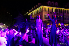 Ein magischer Abend bei der Venezianischen Messe in Ludwigsburg: Buntes Treiben auf dem Marktplatz