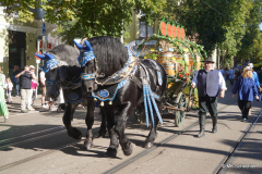 Cannstatter Volksfestverein - Weinwagen