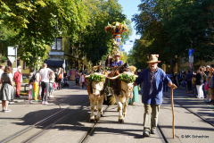 Fruchtsäulenfestwagen und Trachtengruppe des Kübelesmarkts Bad Cannstatt