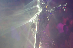 Wilhelmer's Schwabenwelt