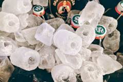 „Kakao Frucht in verschiedenen Texturen erleben"  - Präsentation und Zubereitung vor Ort