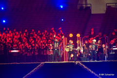 The BossHoss 