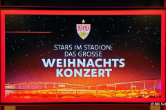 Stars im Stadion: Das große VfB Weihnachtskonzert am 17. Dezember 2024
