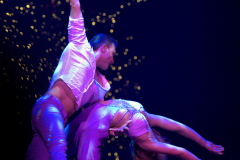 Flight of Passion