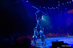 China National Acrobatic Troupe