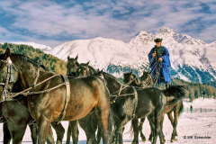 g_2026-02-08-10.56.10