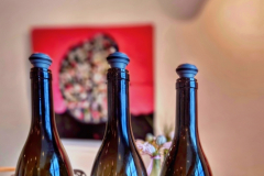 Zürcher Weinland:  Weingut Besson-Strasser, Weinprobe