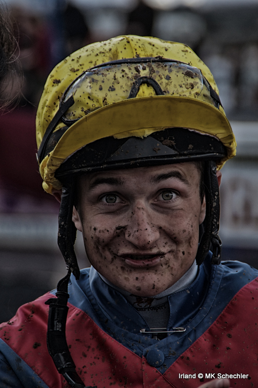 Derbysieger! 2013, Limerick
