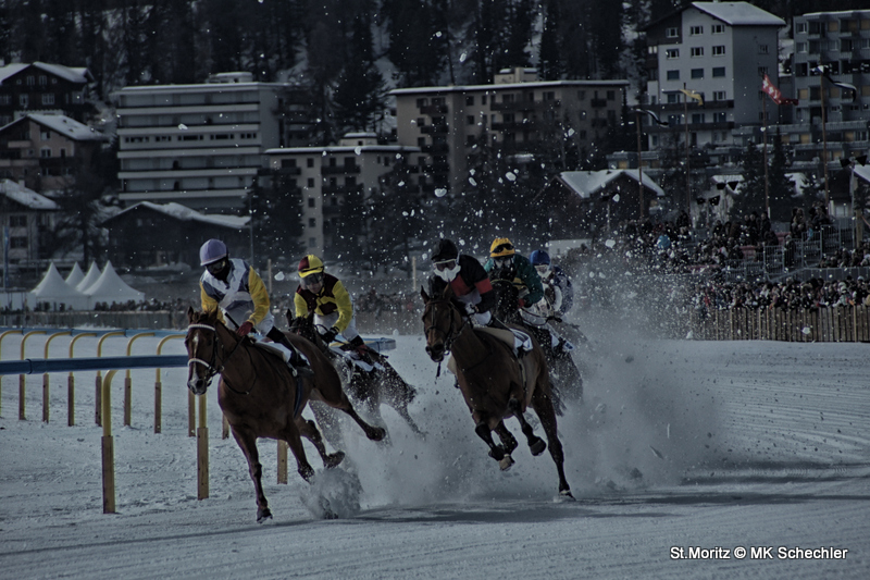 White Turf! 2011, St.Moritz