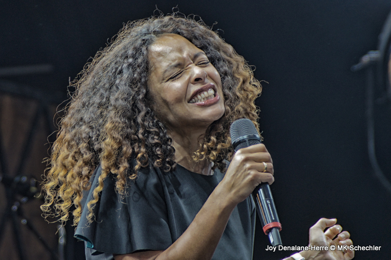 Joy Denalane-Herre! 2015, Stuttgart
