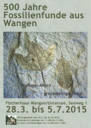 500jahre_Fossilienfunde_Wangen