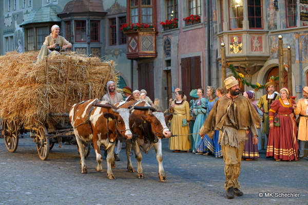 Auch 2016 wieder ein ganz besonderer Moment: der Aufzug des Strohwagens, gezogen von den zwei Kühen Stella und Symphony.